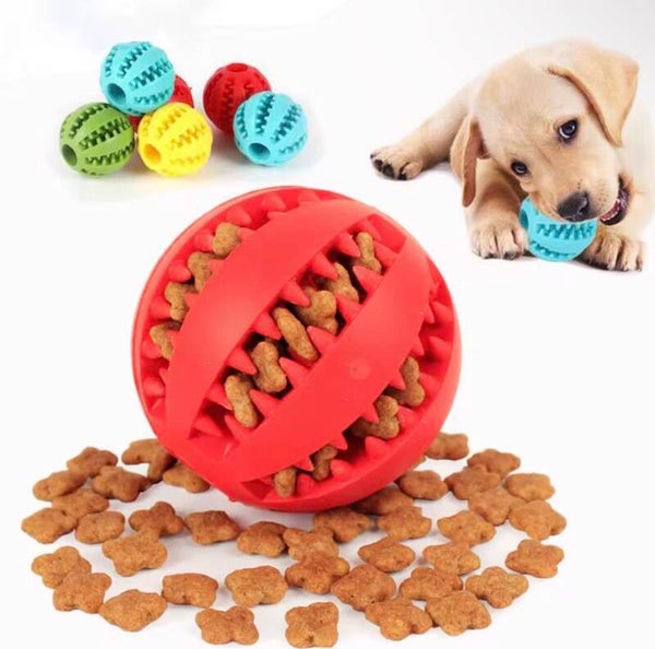 Dog Ball Toy