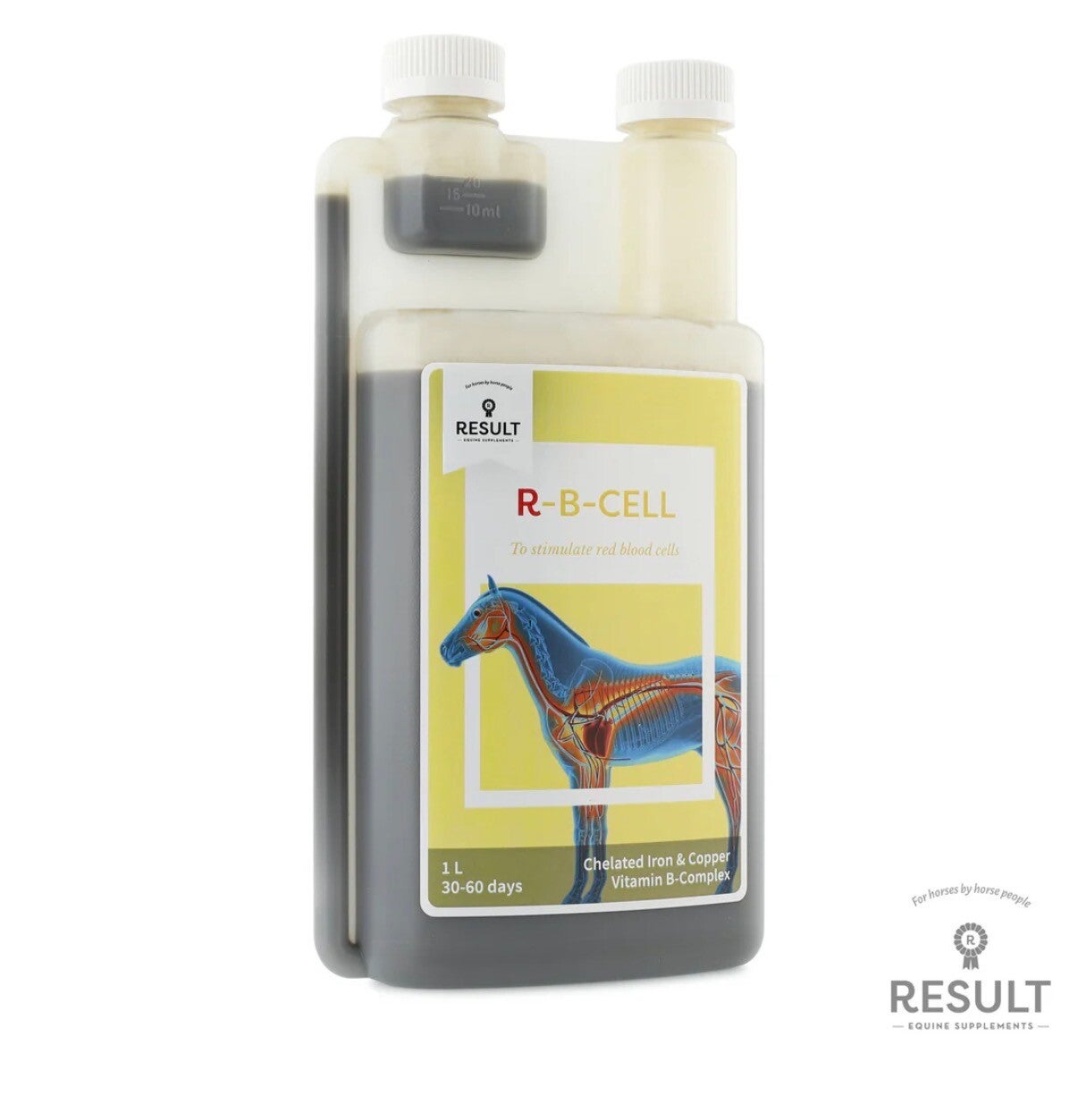 R-B-Cell