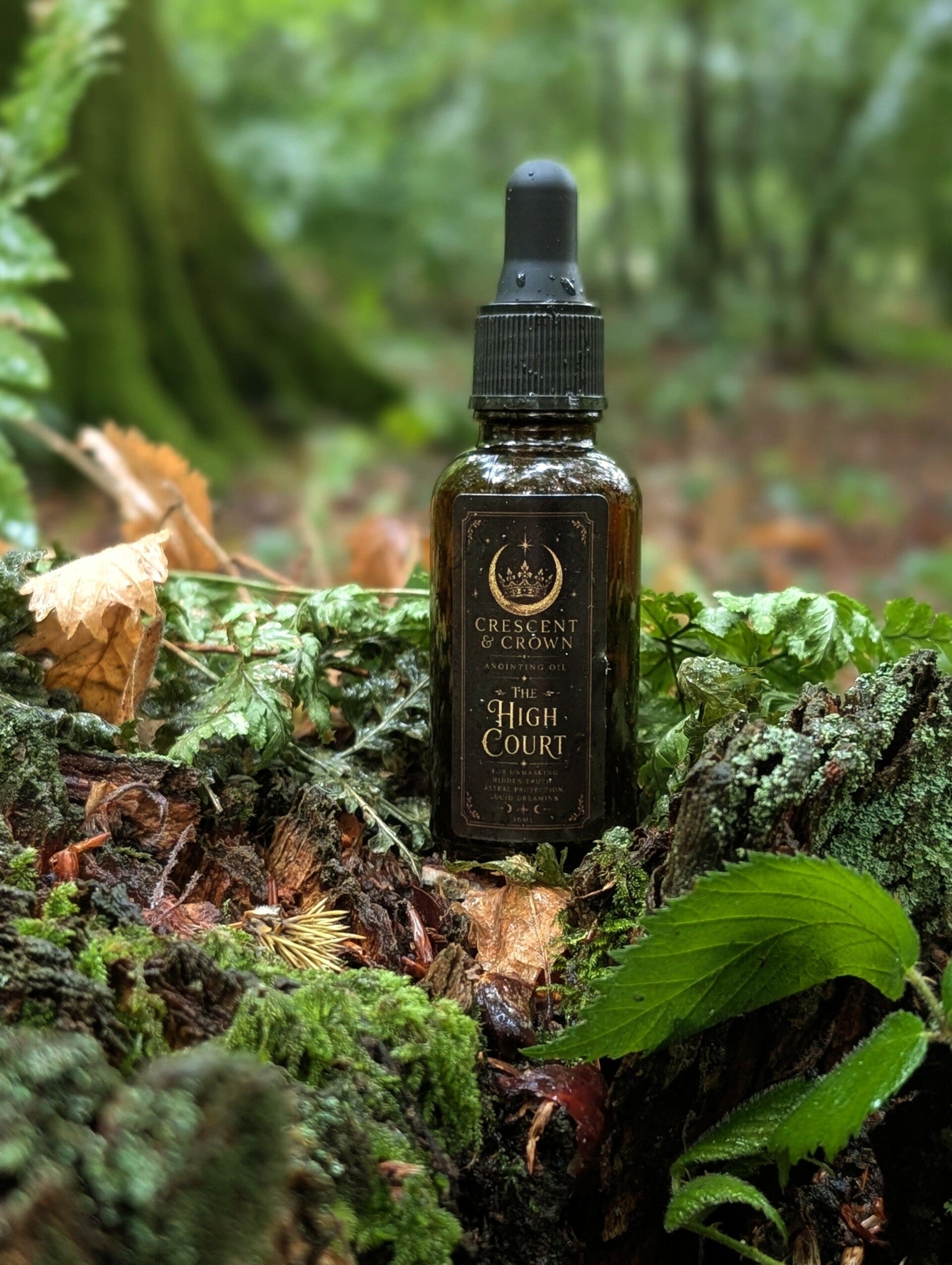 The High Court Anointing Oil