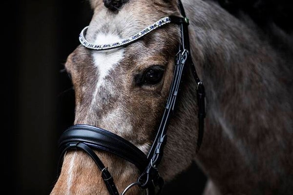 LJ Hoofdstel Dreaming Blue