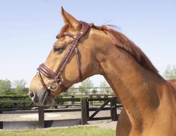 LJ Hoofdstel Kristal