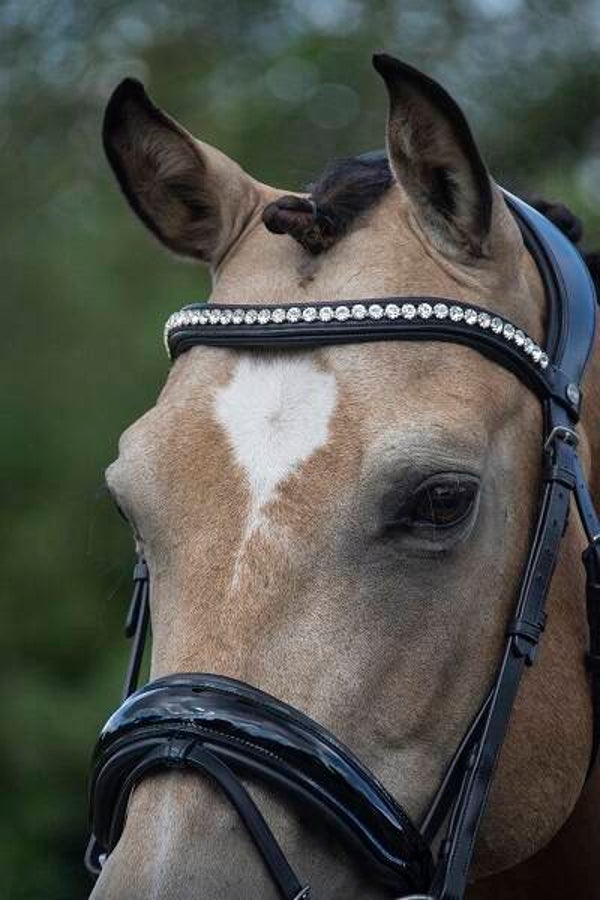 LJ Hoofdstel Superior Lak