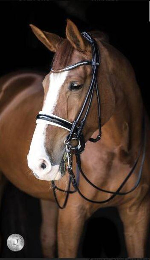 LJ Hoofdstel Serrena stang en trens rond genaaid