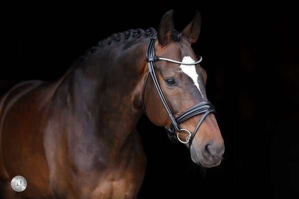 LJ Hoofdstel Limited Stellux frontriem
