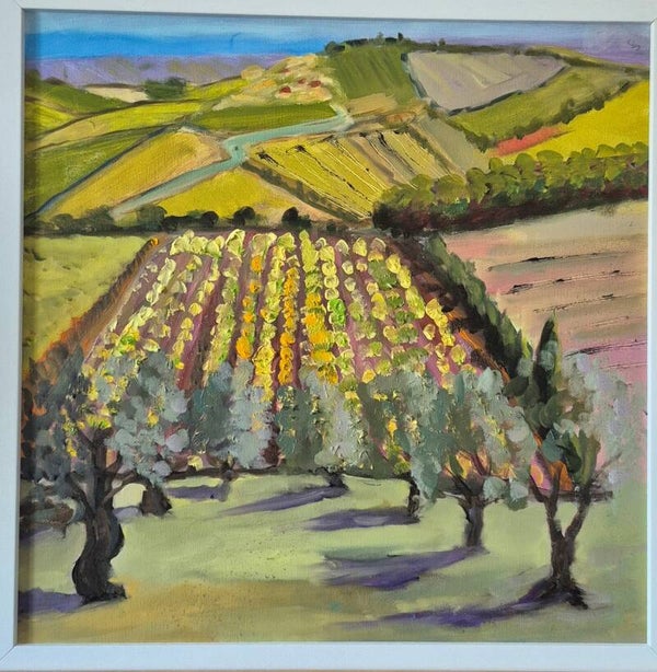 Vineyard and Olive Trees near San Gimignana