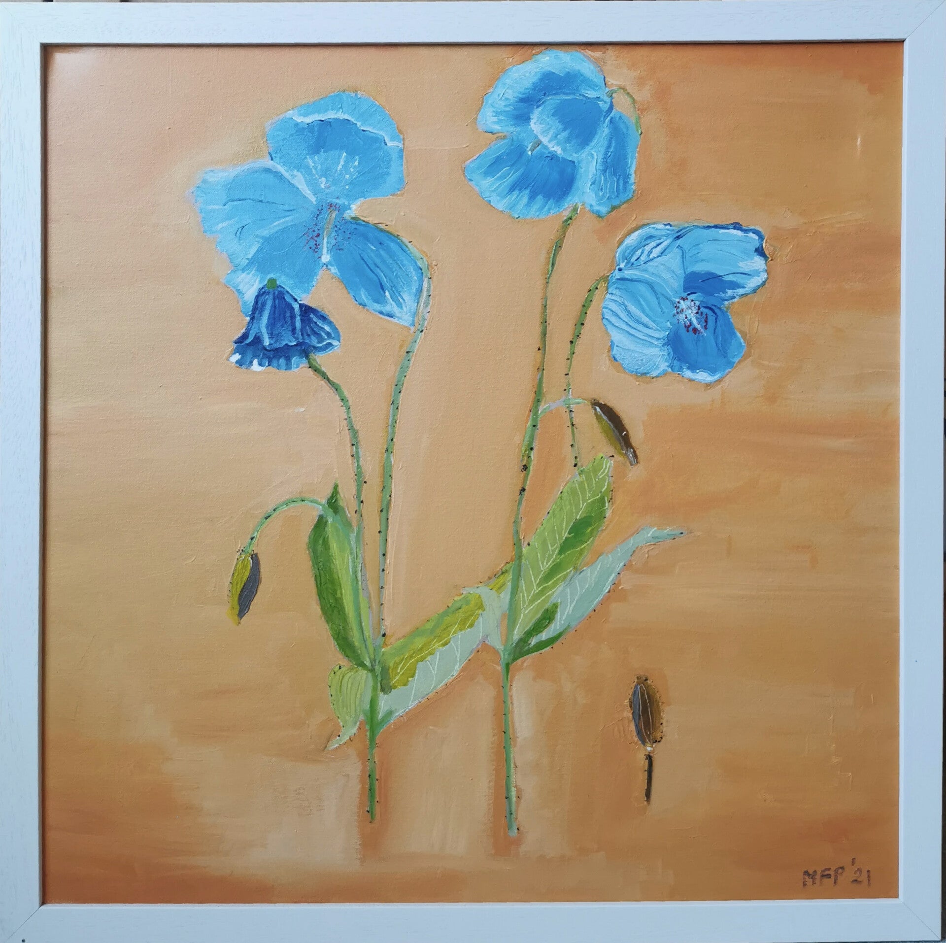 Himalayan Poppies