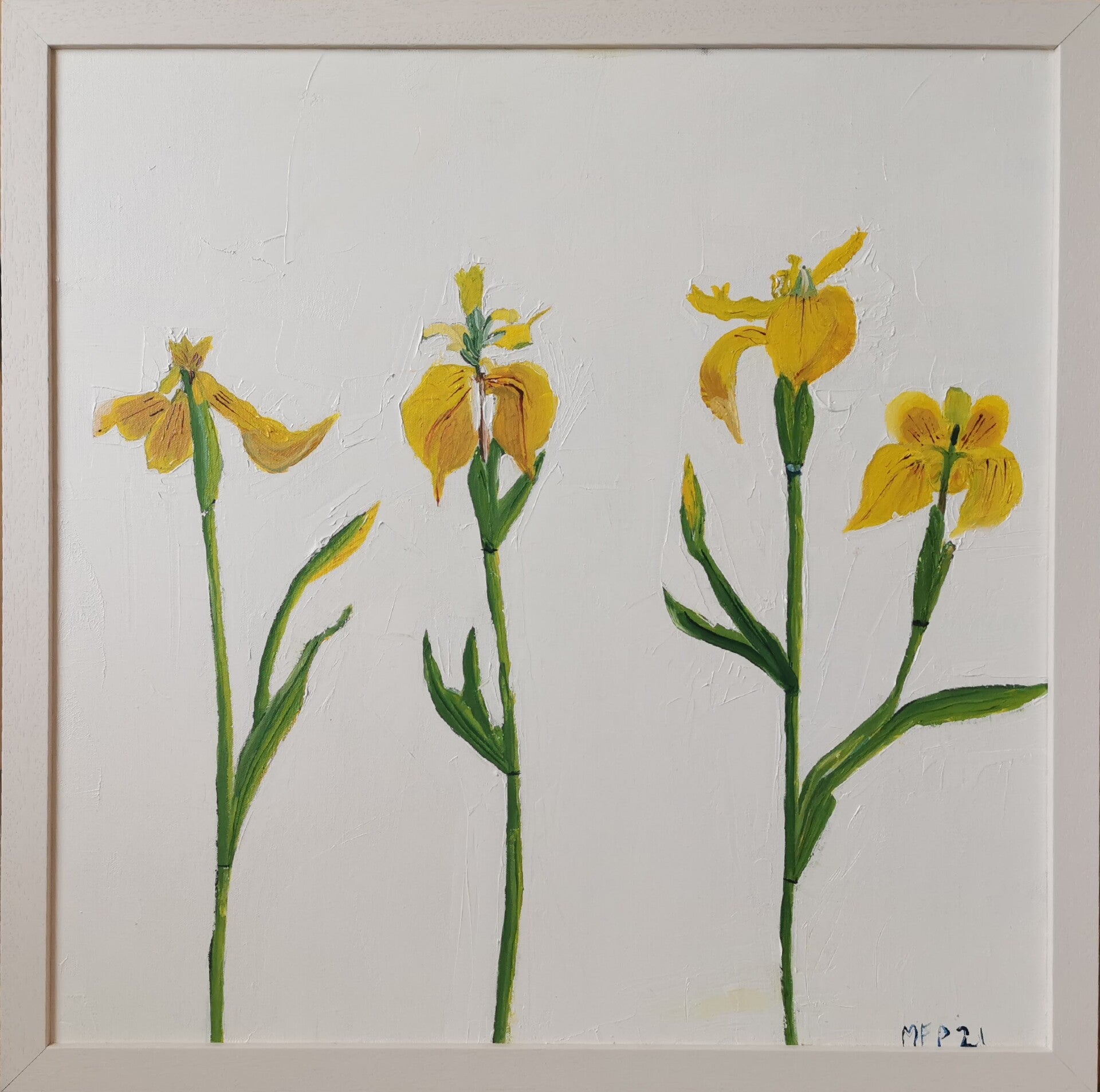 Three Wild Irises
