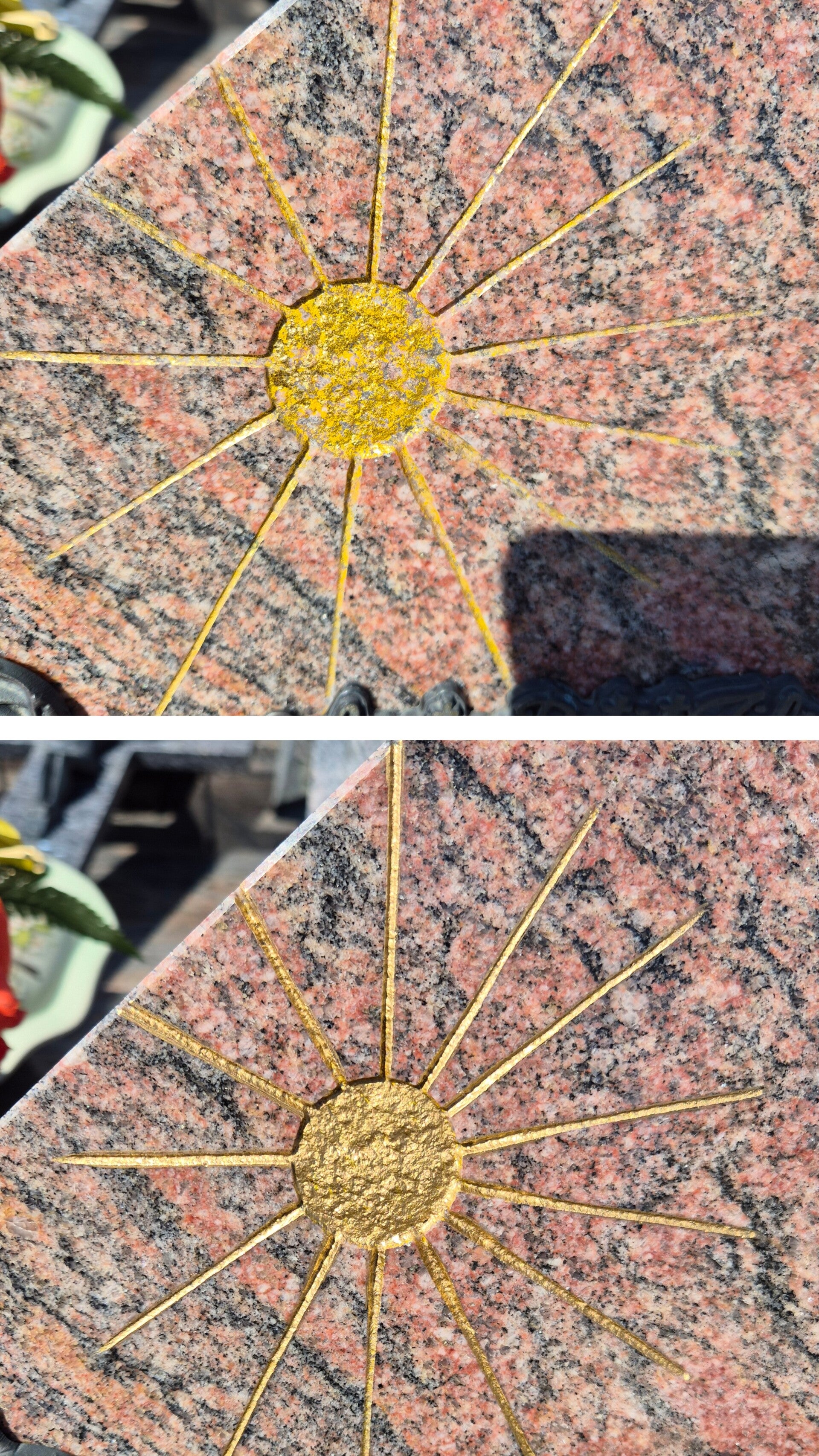 20260420_113918-collage-standard.jpg