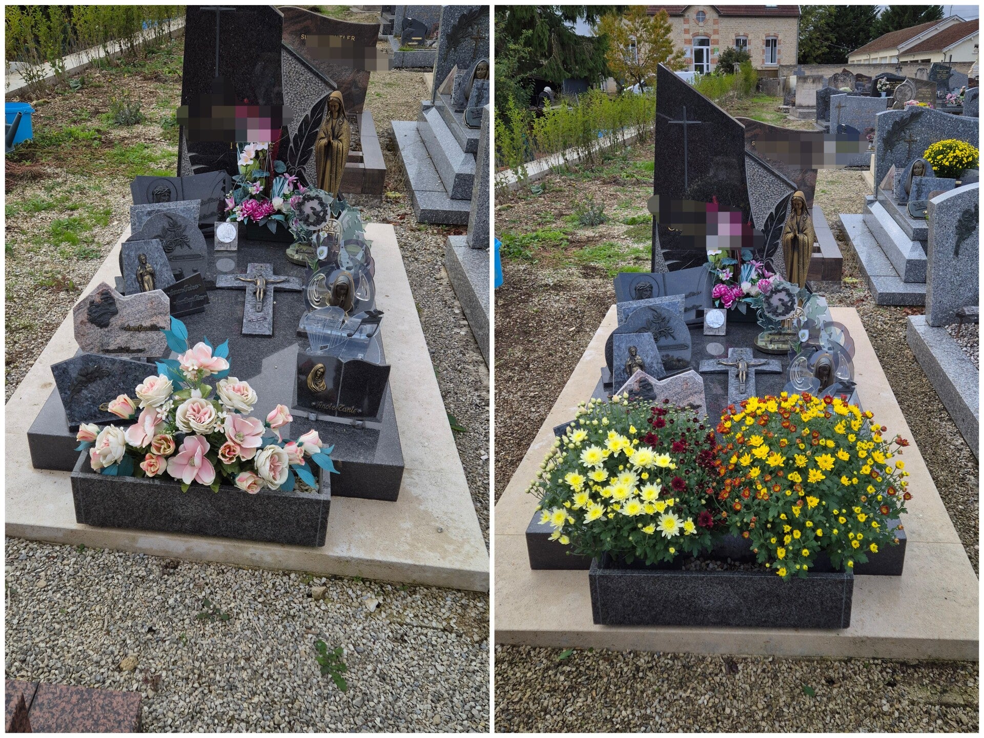 20261022_162644-collage-standard.jpg
