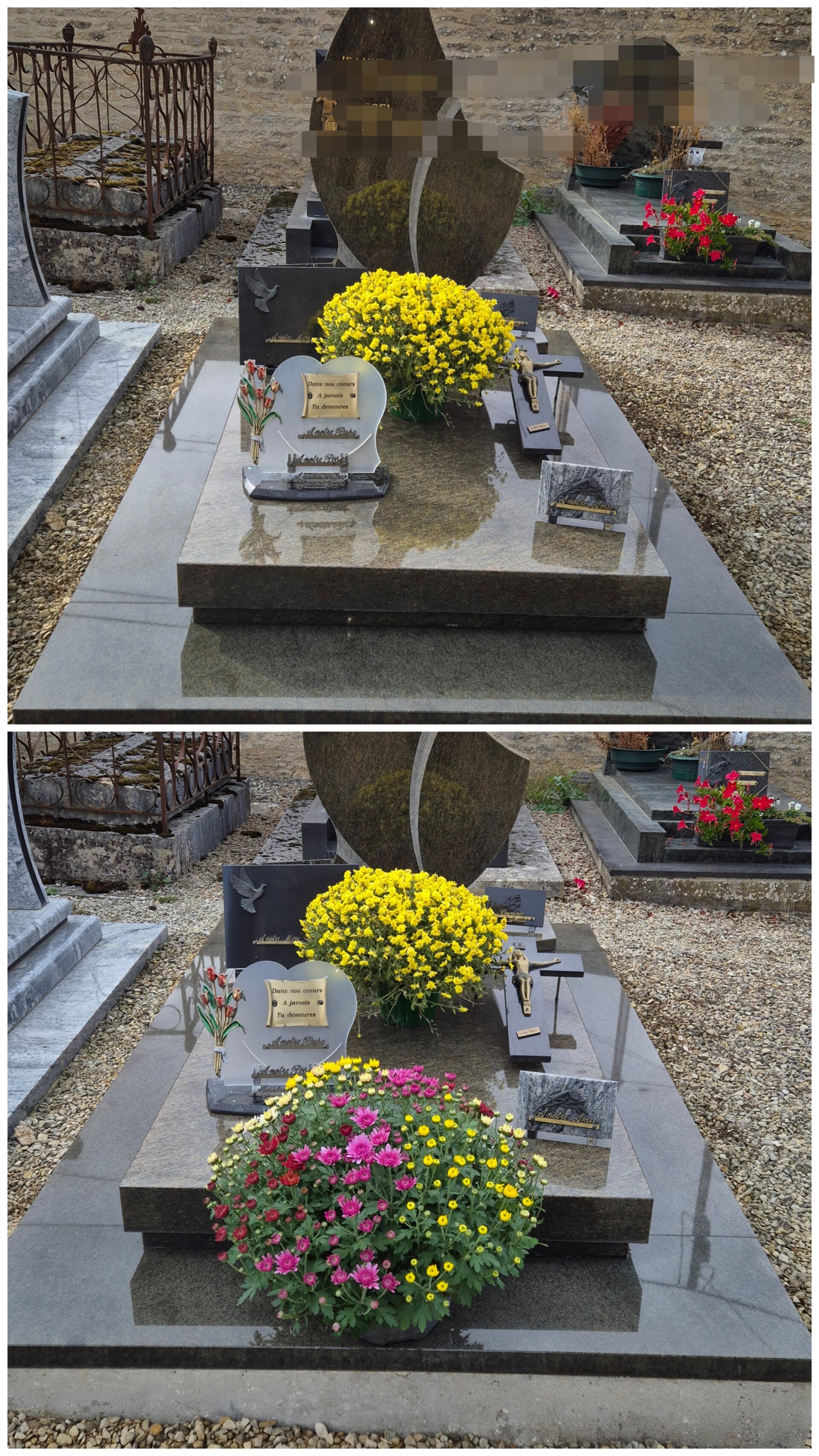 20261022_163201-collage-standard.jpg