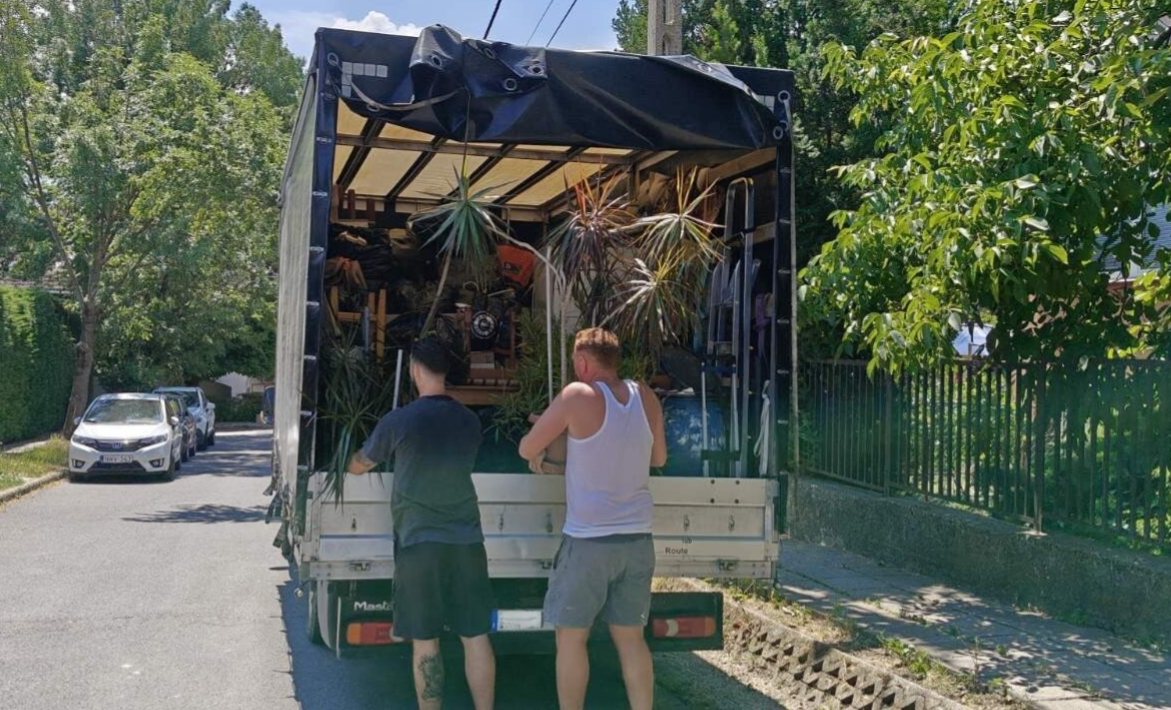 Platós teherautó rakodása költöztetéskor napsütésben nyáron, két kollega növényeket helyez a teherautó platójára