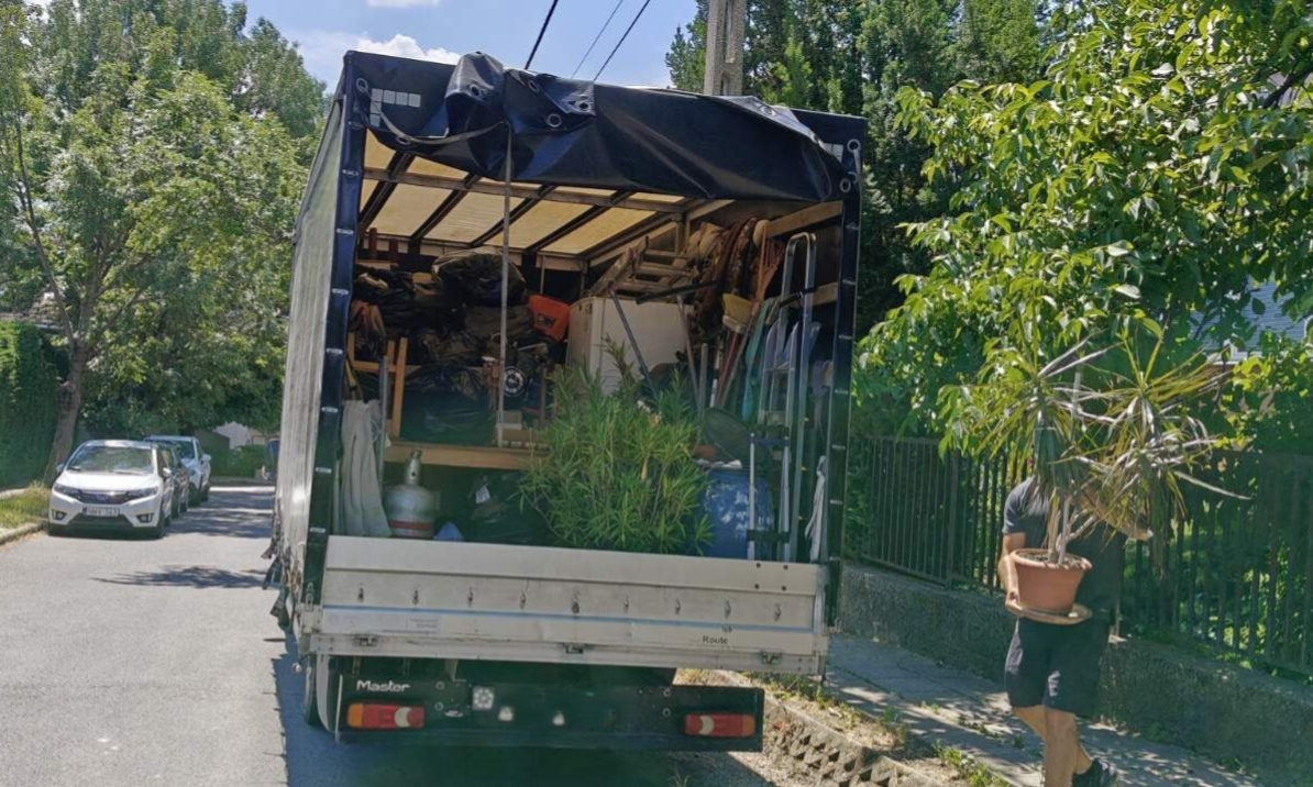 Platós teherautó rakodása költöztetéskor napsütésben nyáron, egy kollega cserepes növényt hoz ki a házból és a teherautóra készül elhelyezni