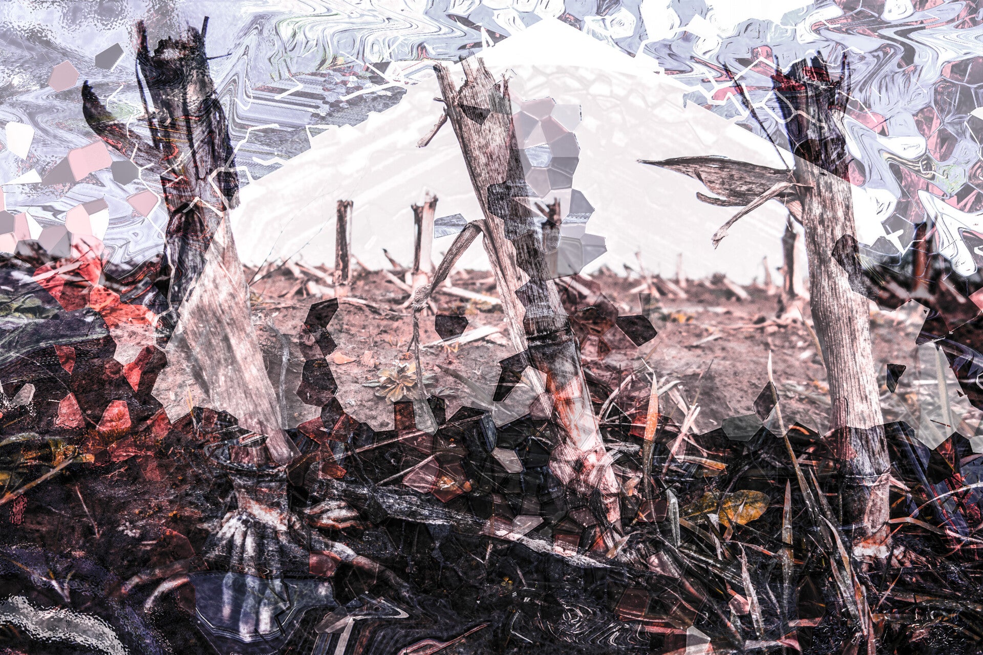 'da jazz point' (15 x 10 cm, enkelzijdige kaart)