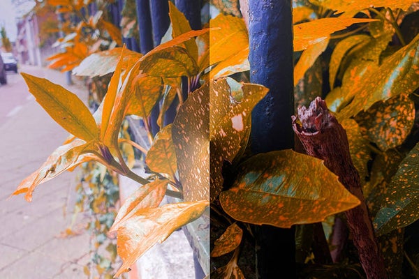 'geplooid' (15 x 10 cm, enkelzijdige kaart)