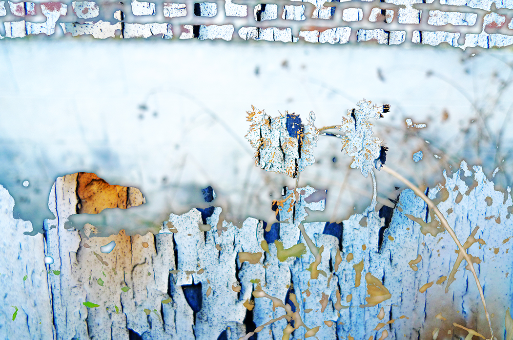 'de volgende morgen, opgestaan met een kater' (15 x 10 cm, enkelzijdige kaart)