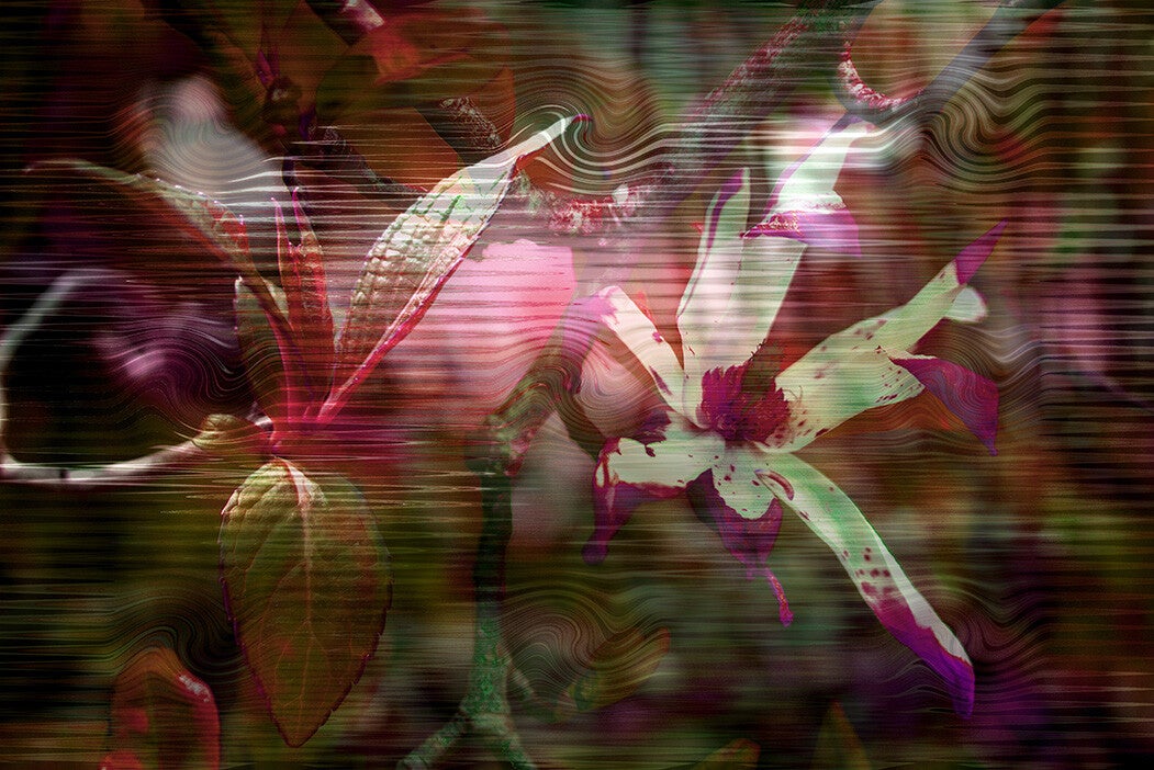 'duo' (15 x 10 cm, enkelzijdige kaart)