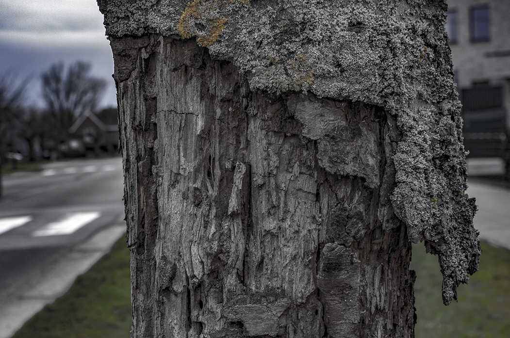 'ergens anders' (15 x 10 cm, enkelzijdige kaart)