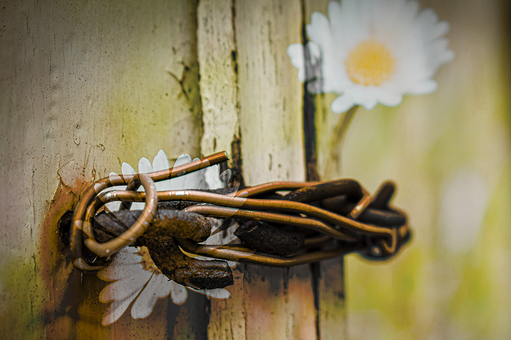 'wat voor de één een last is, is voor de ander een veilige haven' (15 x 10 cm, enkelzijdige kaart)