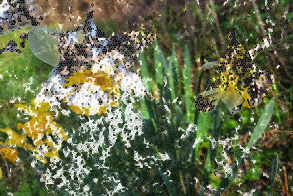 'het einde' (15 x 10 cm, enkelzijdige kaart)