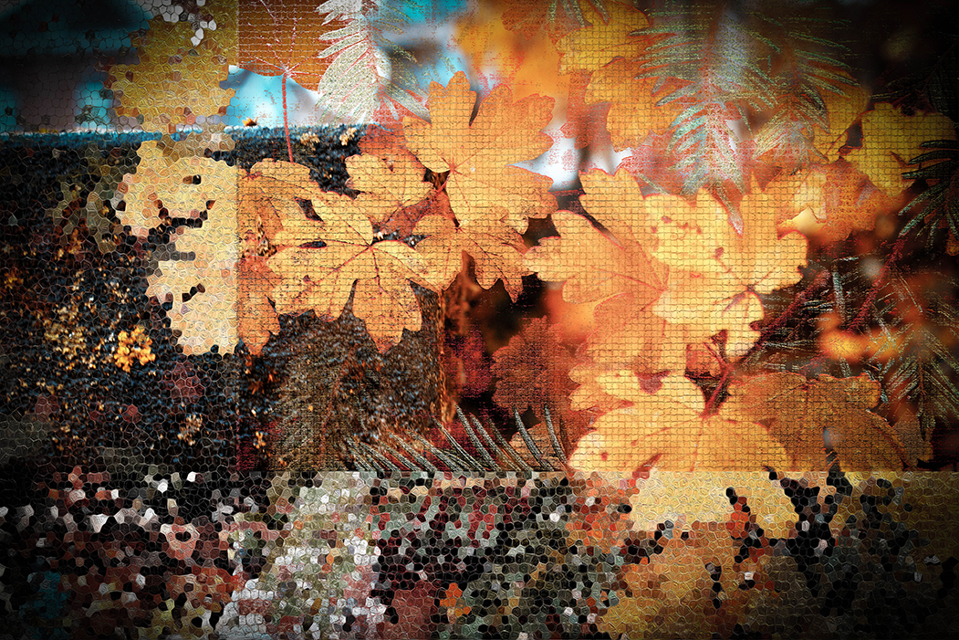 'tezamen' (15 x 10 cm, enkelzijdige kaart)