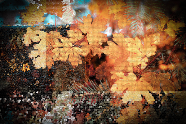 'tezamen' (15 x 10 cm, enkelzijdige kaart)