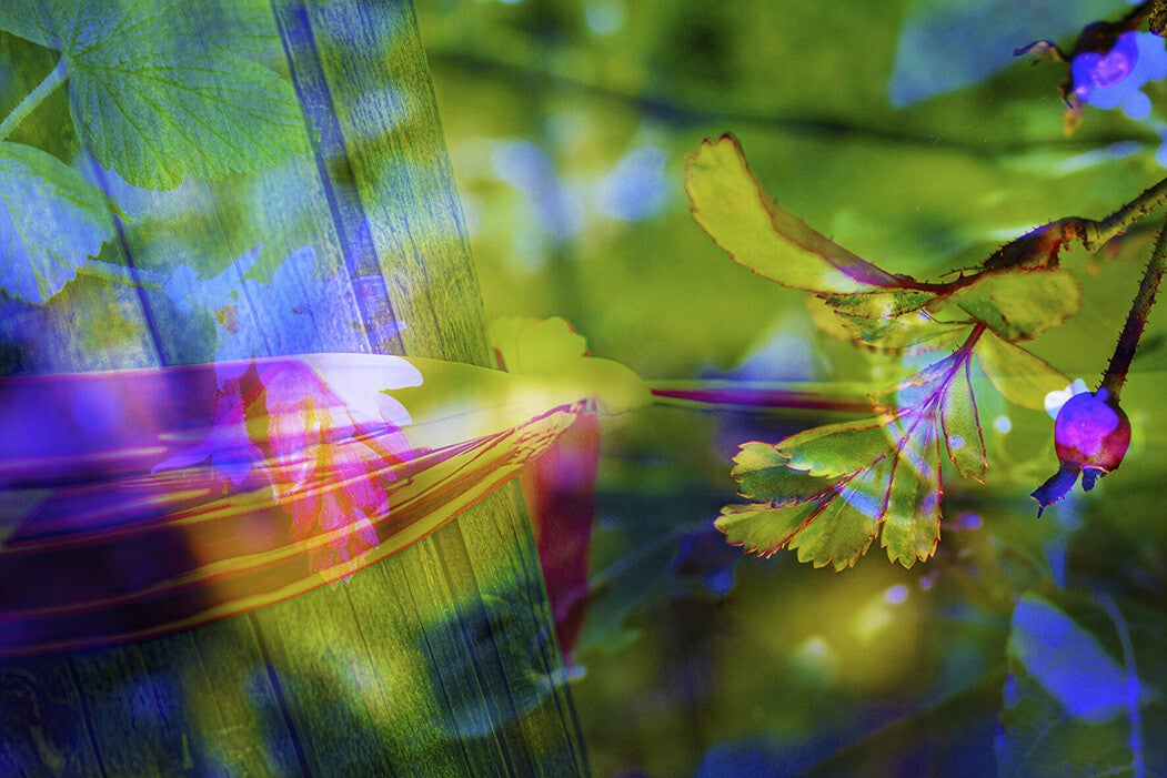 'nood aan verbondenheid' (15 x 10 cm, enkelzijdige kaart)