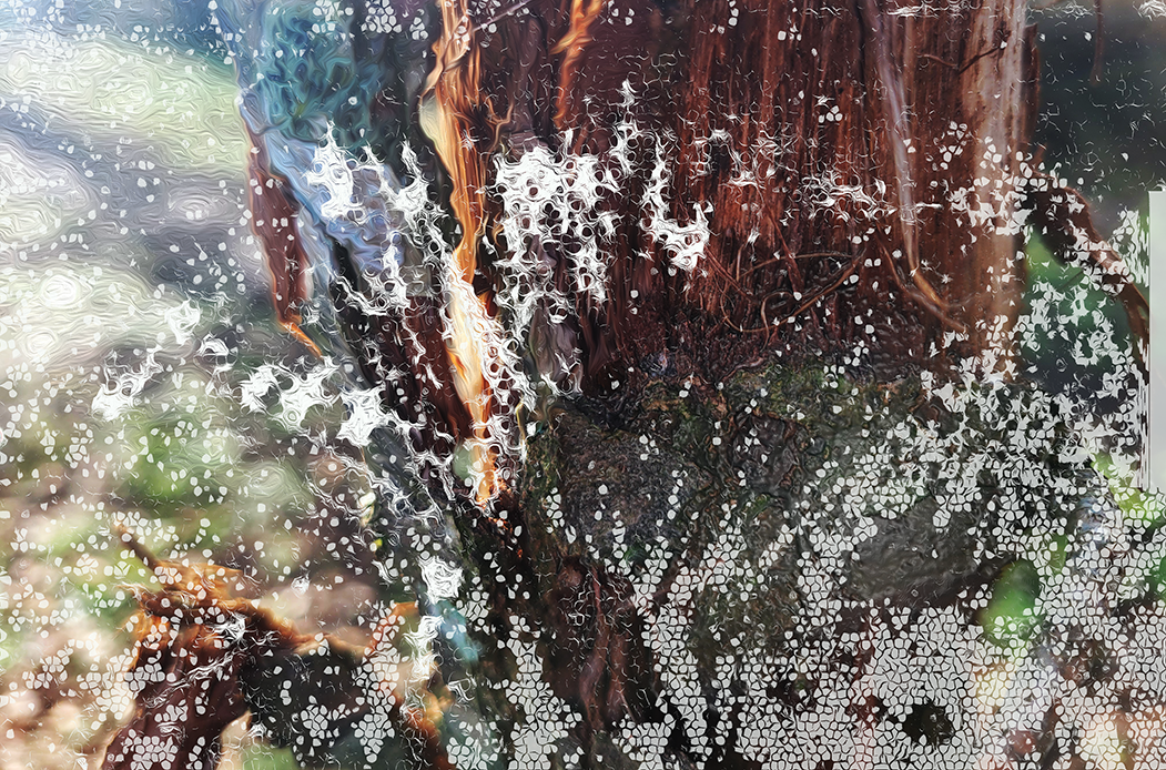 'oorlogssituaties' (15 x 10 cm, enkelzijdige kaart)