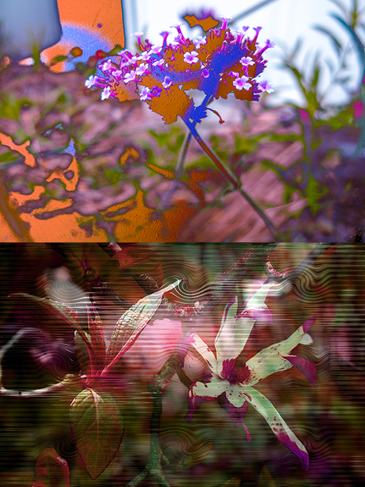 'verfjes duo' (je ontvangt 2 kaartjes van 7,5 x 10 cm)