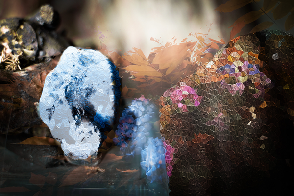 'in de verlatenheid van de ziel schijnt een licht, zo fel dat het alle lijden in zich opneemt' (15 x 10 cm, enkelzijdige kaart)