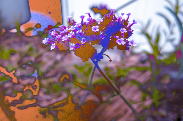 'verfjes' (15 x 10 cm, enkelzijdige kaart)