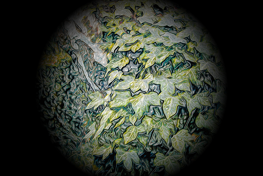 'wondere wereld: zou een thuishaven moeten zijn voor zovelen'