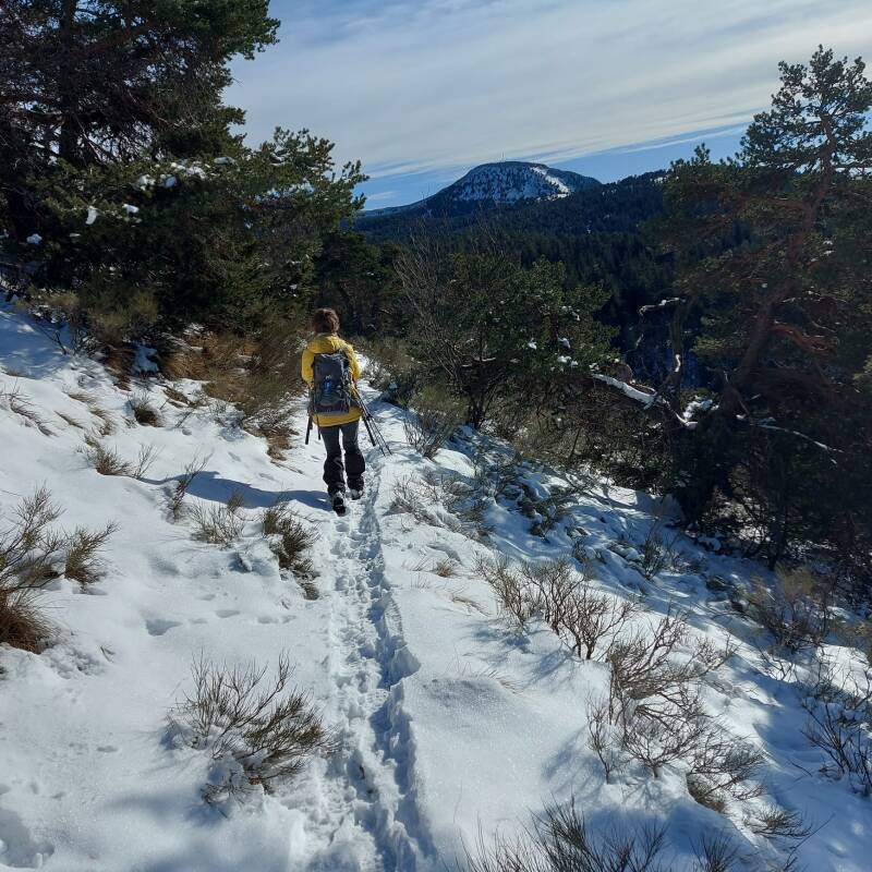 Col d'Aaron 05150 Valdoule
