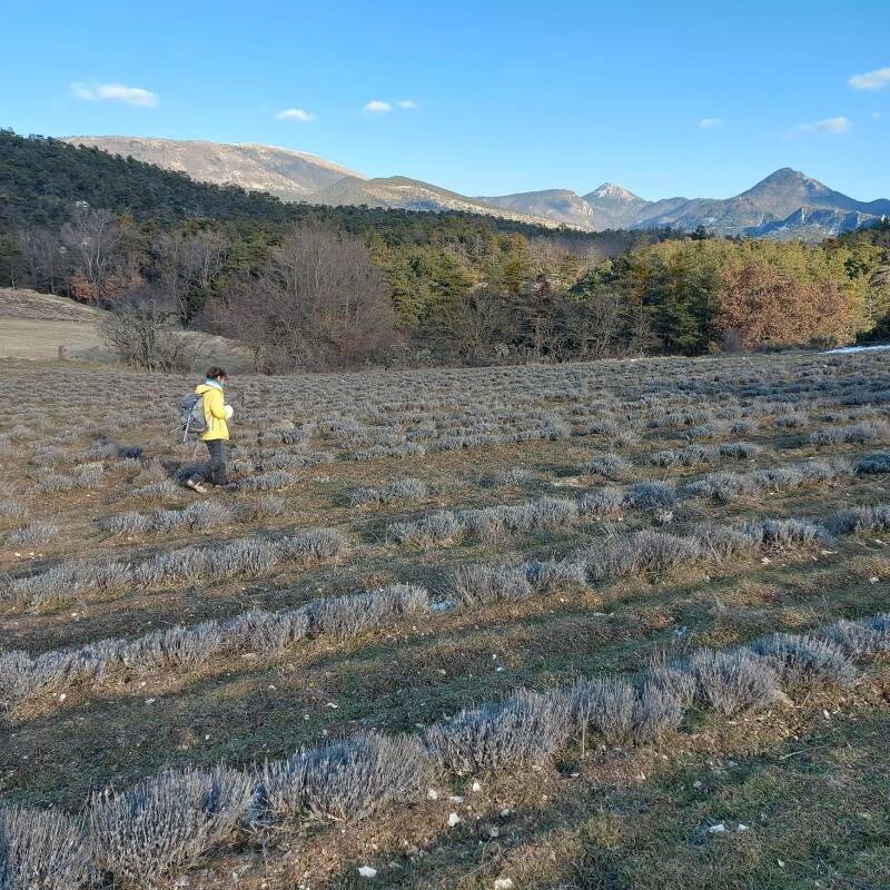 Clot d'Antouret 05150 Valdoule