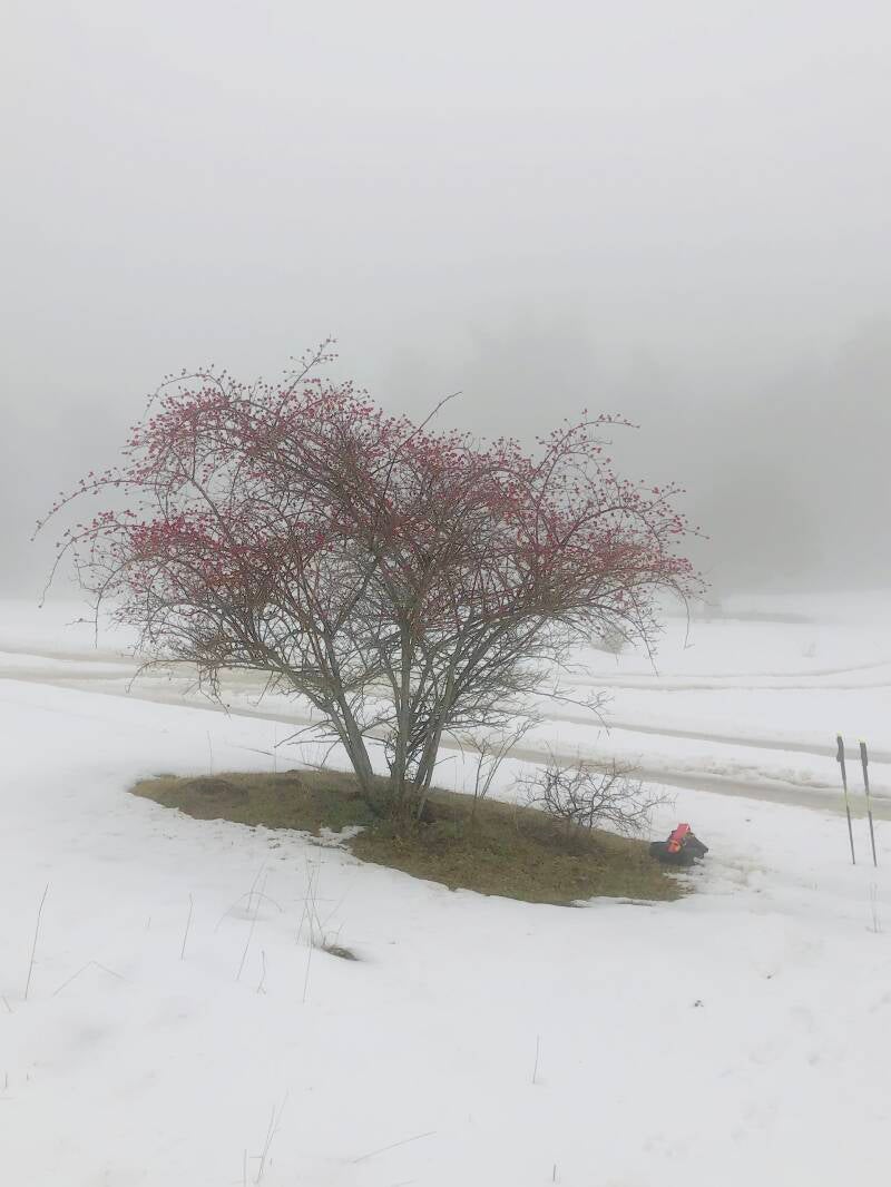 Le Duffre 05150 Valdoule