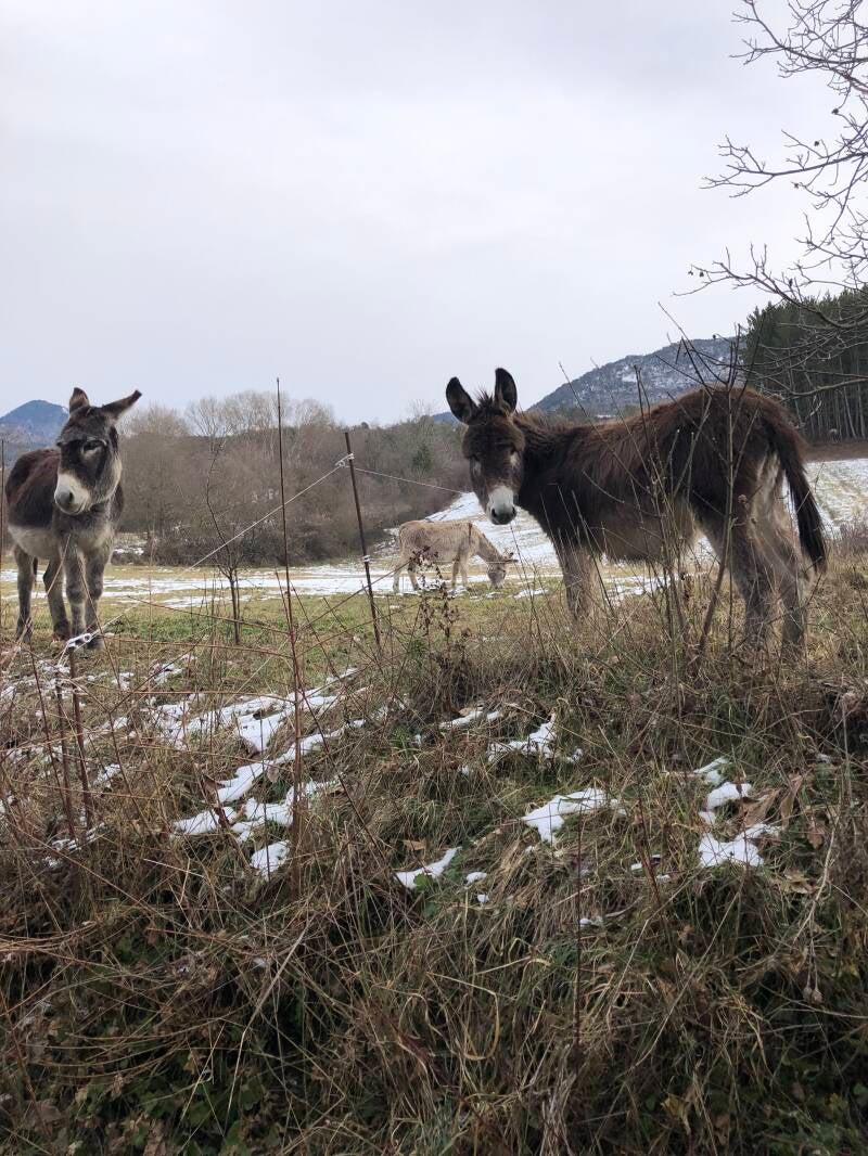 Le Moulin 05150 Valdoule