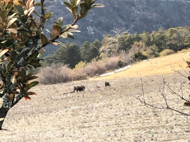 Clos d'Antouret 05150 Valdoule