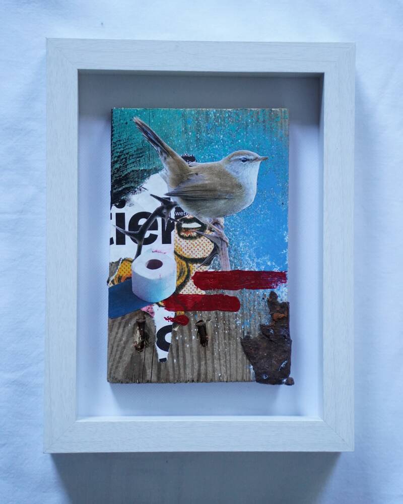 Cetti&#039;s Zanger 2022 Mixed Media op oud pallethout met witte baklijst 15x20cm € 75,-