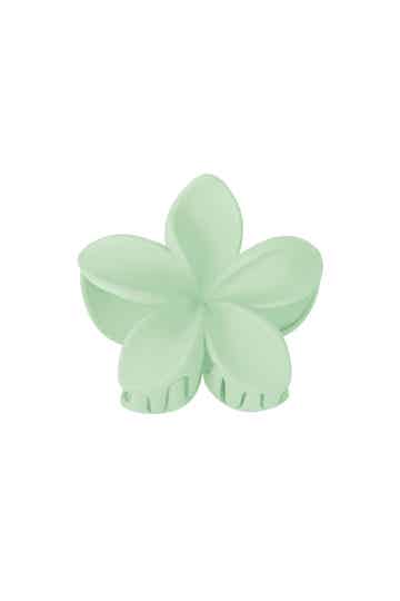 Haarklem bloem - Groen