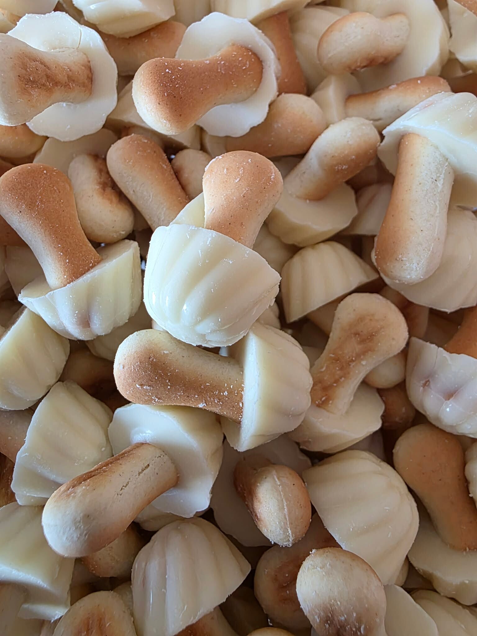 Champignons Biscuit au Chocolat Blanc - 100g