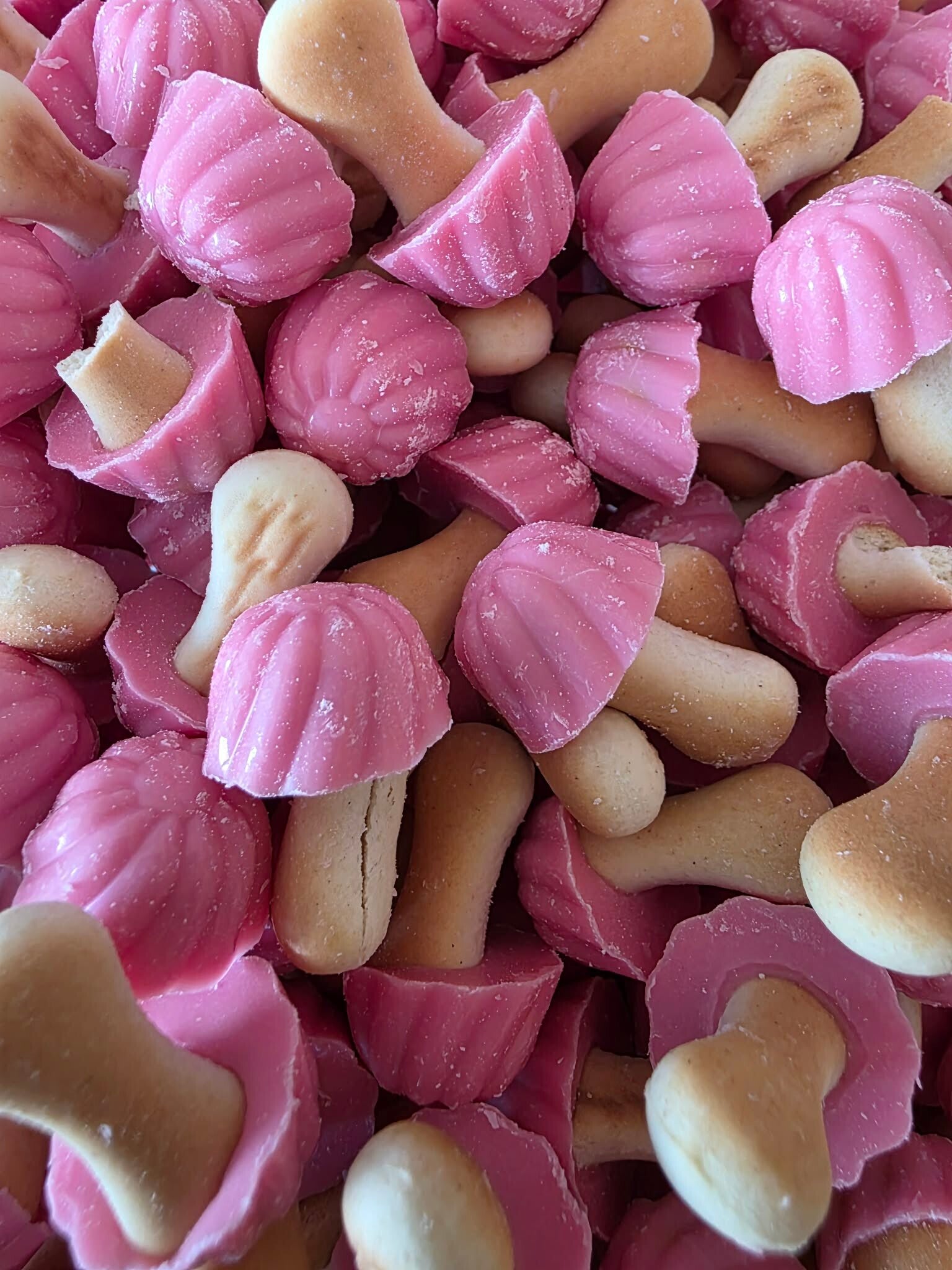 Champignons Biscuit à la Fraise - 100g