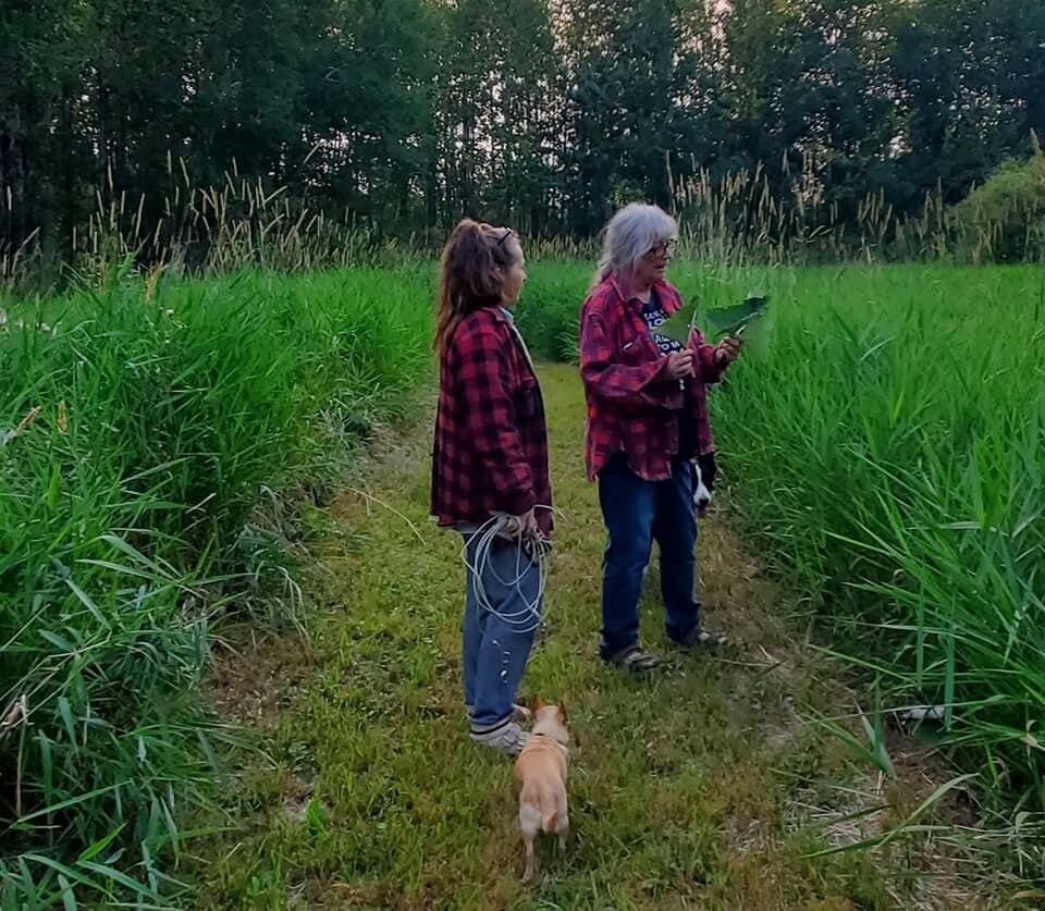 HillBilly Hiking-TBA