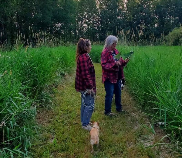 HillBilly Hiking-TBA