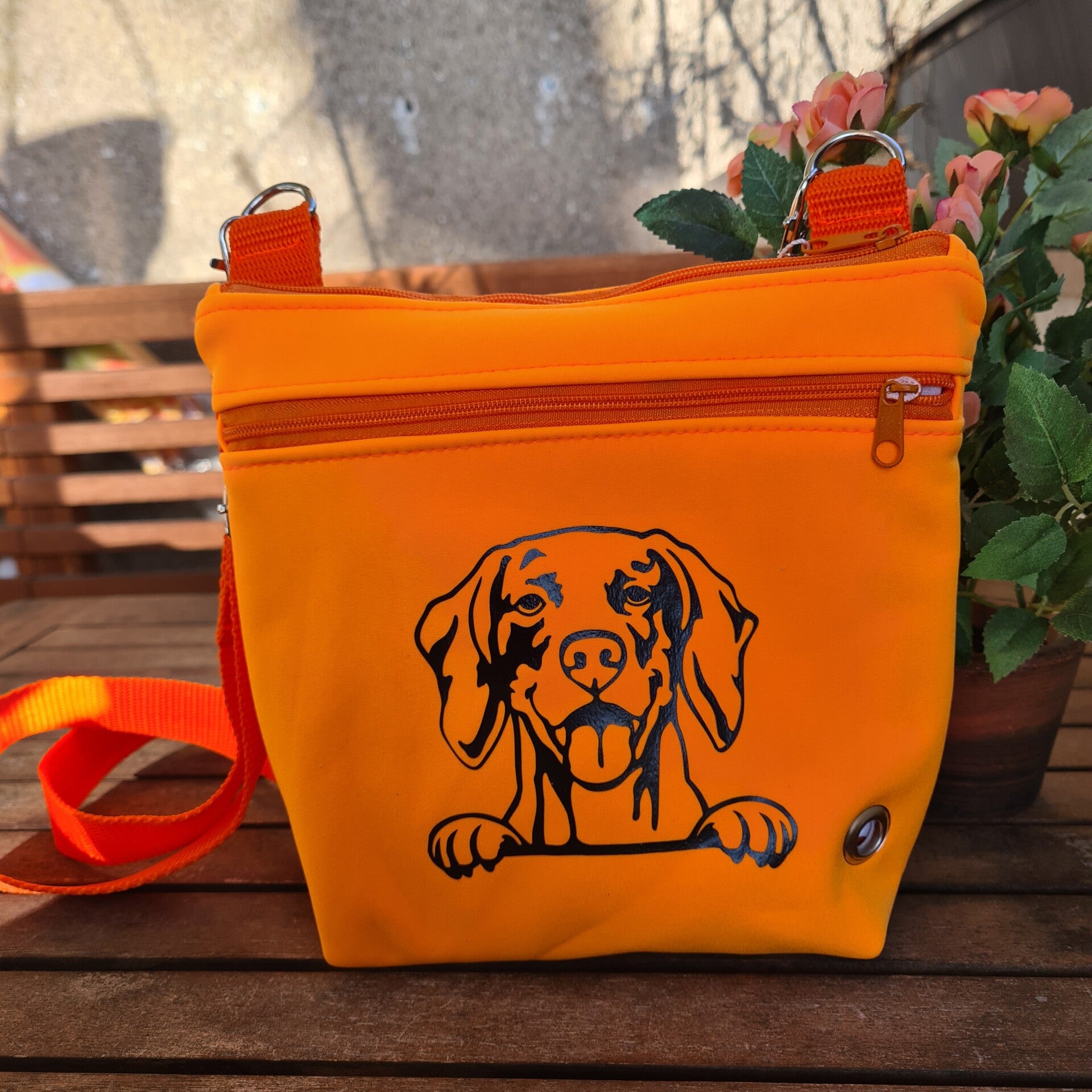 Multifunktionale Gassitasche für Hundebesitzer – Robustes Softshell-Material & Praktische Funktionen