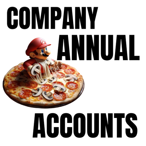 company annual accounts