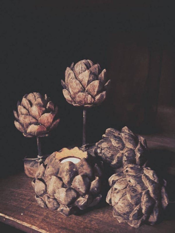 Artisjok set