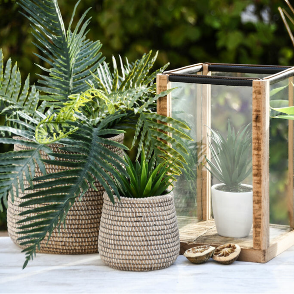 set van 2 cement bloempot