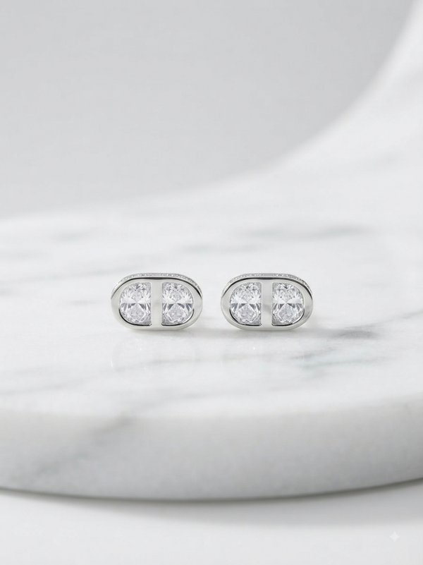 Earrings Dazzling d