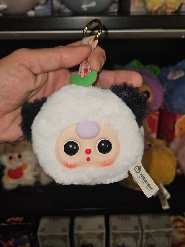 Baby Three earphone case bag confirmed box