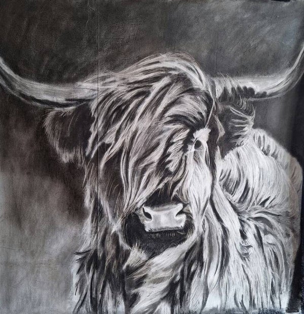 Schotse Hooglander