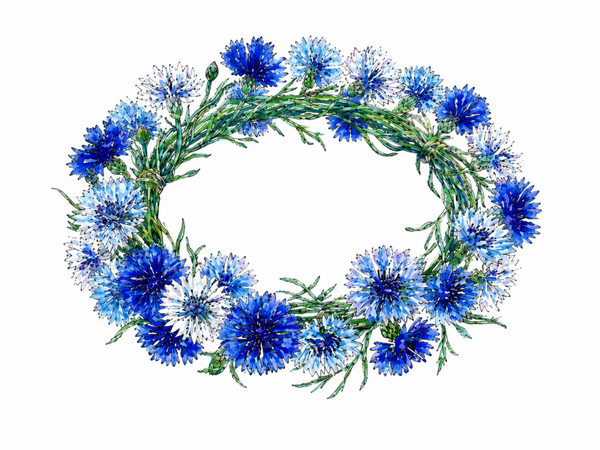 1 couronne sans image
